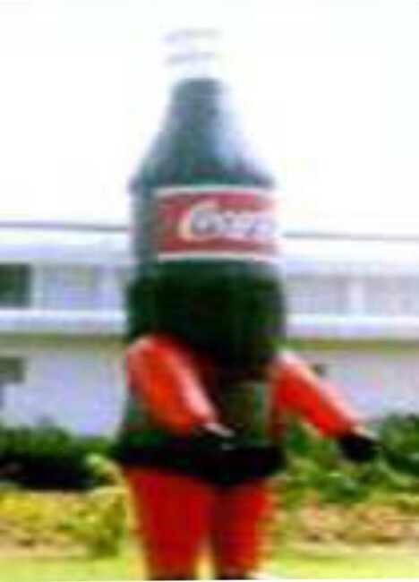 Mascots & Walkabouts – ABC Inflatables Nigeria